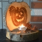 Birkenholz Baumscheibe mit Brandgravur Kürbis Halloween