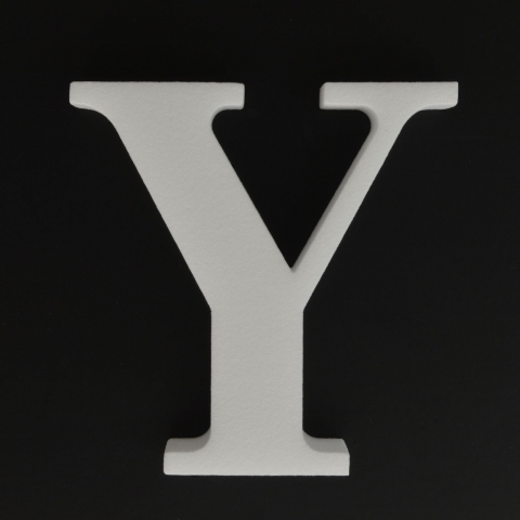 stucco Profile Styrofoam letter Y